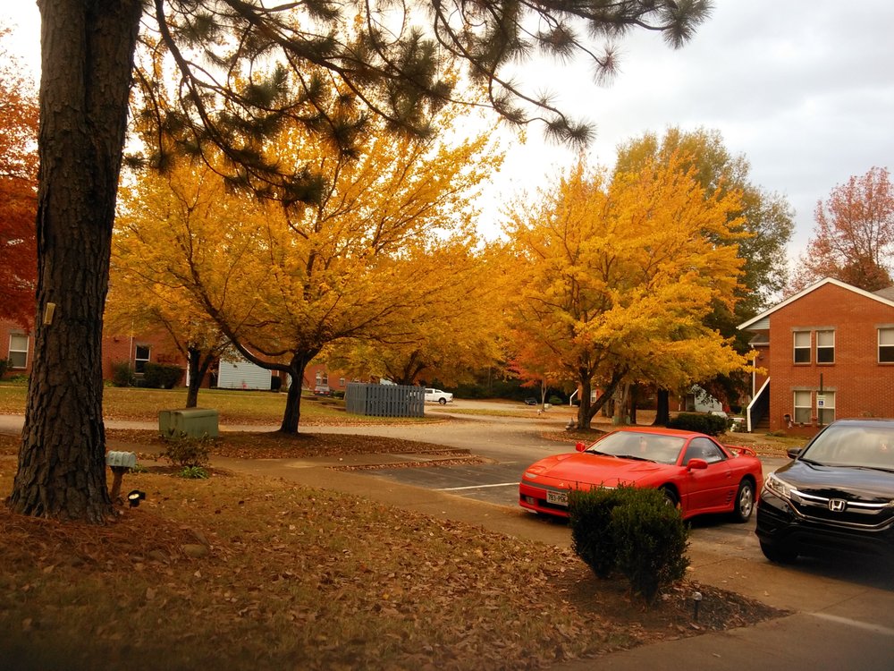 LAUREL WOOD APARTMENTS Updated June 2024 130 Laurelwood Pl