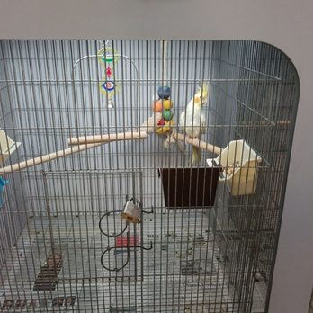 Pet World - Handsome - Pet Stores Near Me - Rochester, New York