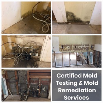 AVERA Environmental, LLC. - Mold Remediation Services - General Contractors Near Me AVERA Environmental, LLC. - Mold Remediation Services - General Contractors Near Me