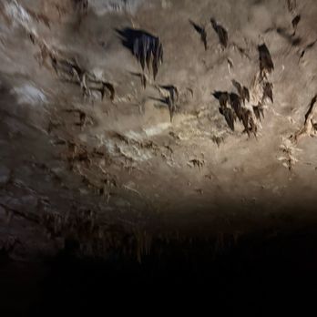 Fantastic Caverns - Historical Tours Near Me - Springfield, Missouri Fantastic Caverns - Historical Tours Near Me - Springfield, Missouri