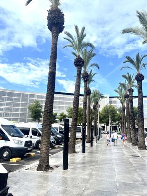 Palma de Mallorca Airport by null