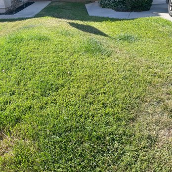 SpringView Landscape - Front yard before remodel. - Landscaping Near Me