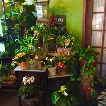 Flowerville - Florists Near Me - University Heights, Ohio