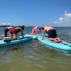 Aqua Prana Sup Yoga & Meditation - Meow and moo both start with the letter "M"