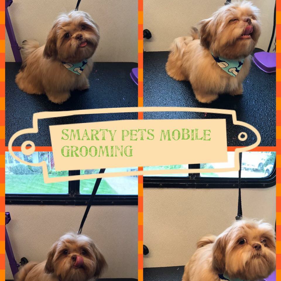 SMARTY PETS MOBILE GROOMING Updated September 2024 31103 Richert