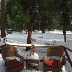 The Wild Flower Cabin - Front door view