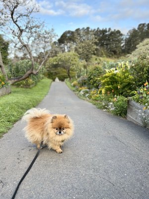 Stanford Inn & Resort on the Mendocino Coast by null