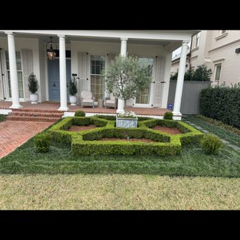 Healthy Roots - Landscaping Near Me