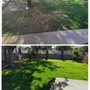 Photo of Desert Lawn Care
