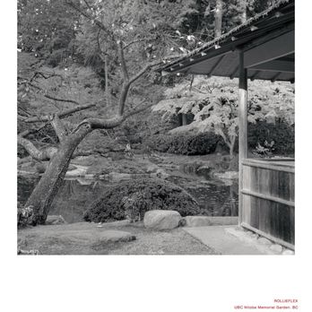 Nitobe Memorial Garden - Nitobe Garden film photo by aaronshaphoto (Instagram) - Landmarks & Historical Buildings Near Me - Vancouver, British Columbia Nitobe Memorial Garden - Nitobe Garden film photo by aaronshaphoto (Instagram) - Landmarks & Historical Buildings Near Me - Vancouver, British Columbia