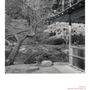 Photo of Nitobe Memorial Garden