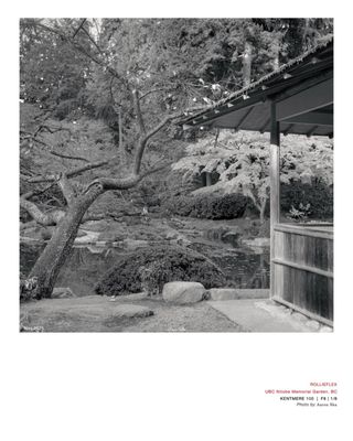 Nitobe Memorial Garden by null