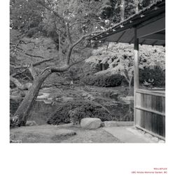 Nitobe Memorial Garden - Nitobe Garden film photo by aaronshaphoto (Instagram)