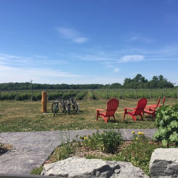 Sugarbush Vineyards - a view of the vineyard from the patio - Wine Tasting Room Near Me - Hillier, Ontario Sugarbush Vineyards - a view of the vineyard from the patio - Wine Tasting Room Near Me - Hillier, Ontario