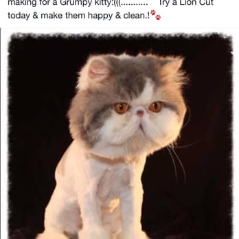 Angel Paws Pet Grooming - Pet Groomers Near Me - twin falls, Idaho Angel Paws Pet Grooming - Pet Groomers Near Me - twin falls, Idaho
