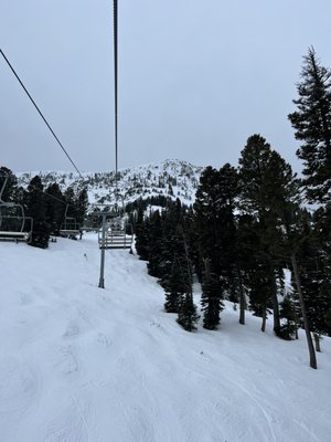 Bridger Bowl Ski Area by null