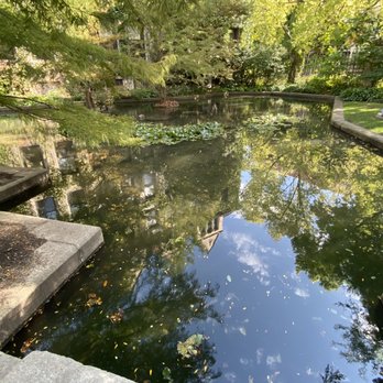 Chi Tours - Walking Tours Near Me Chi Tours - Walking Tours Near Me