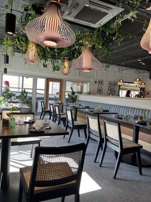 Little Coyote by null