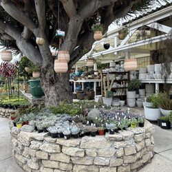 Dana Point Nursery