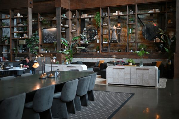 Backstory Coffee Roasters - North Loop by null
