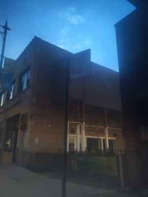 Fancy Plants Kitchen by null