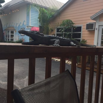 Lee Be Fish - Bring cash, it's worth it! - Seafood Near Me - Marco Island, Florida Lee Be Fish - Bring cash, it's worth it! - Seafood Near Me - Marco Island, Florida