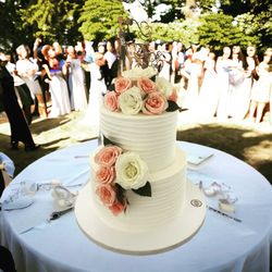 Sylvia's Cakes - Wedding Rustic design Cake.