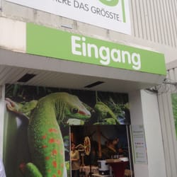 Mega Zoo