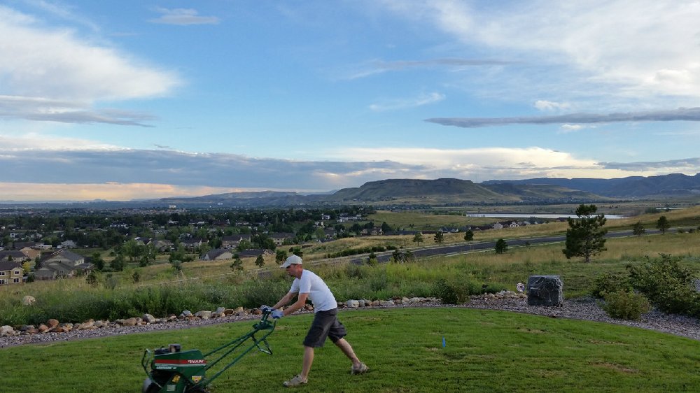 Adler Aeration - tree service in Westminster, CO