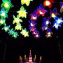 Photo of Lantern Asia