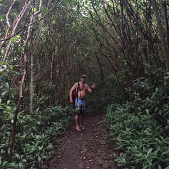 Okolehao Trail - Bring Bug Spray - Hiking Near Me - Hanalei, Hawaii