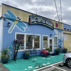 Bug & Reptile Museum