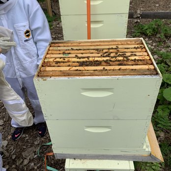 Miraval Berkshires Resort & Spa - Beekeeping class - Resorts Near Me - Lenox, Massachusetts Miraval Berkshires Resort & Spa - Beekeeping class - Resorts Near Me - Lenox, Massachusetts