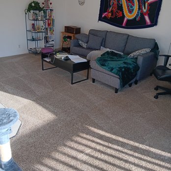 Stain Master Carpet Cleaning - No stains from the man in charge (our cat) - Carpet Cleaning Near Me Stain Master Carpet Cleaning - No stains from the man in charge (our cat) - Carpet Cleaning Near Me