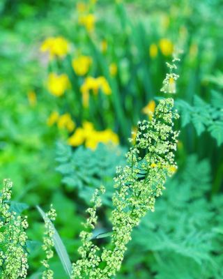 The Parklands Of Floyds Fork