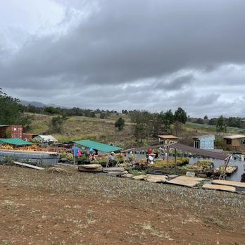 3rd Day Nursery - a nursery with a variety of plants - Landscaping Near Me - Kula, Hawaii
