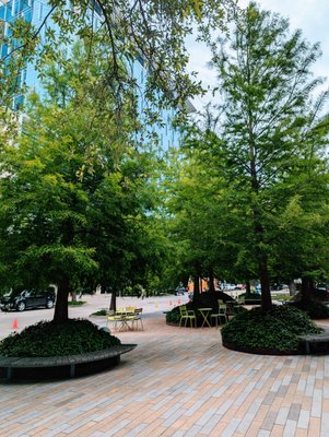 Levy Park by null