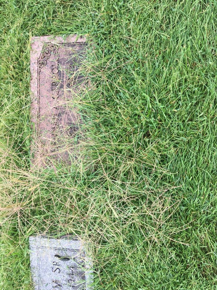 CALVARYHOLY CROSS ST JOSEPH CEMETERY Updated August 2024 435 W