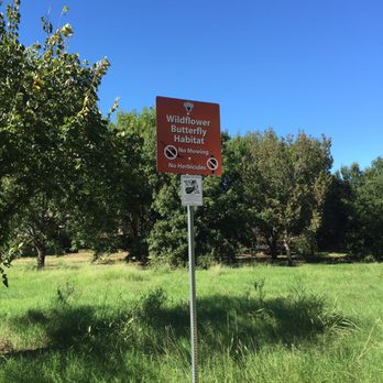 Parr Park - Butterfly area - Parks Near Me - Grapevine, Texas