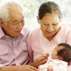 Allyson Senior Solutions