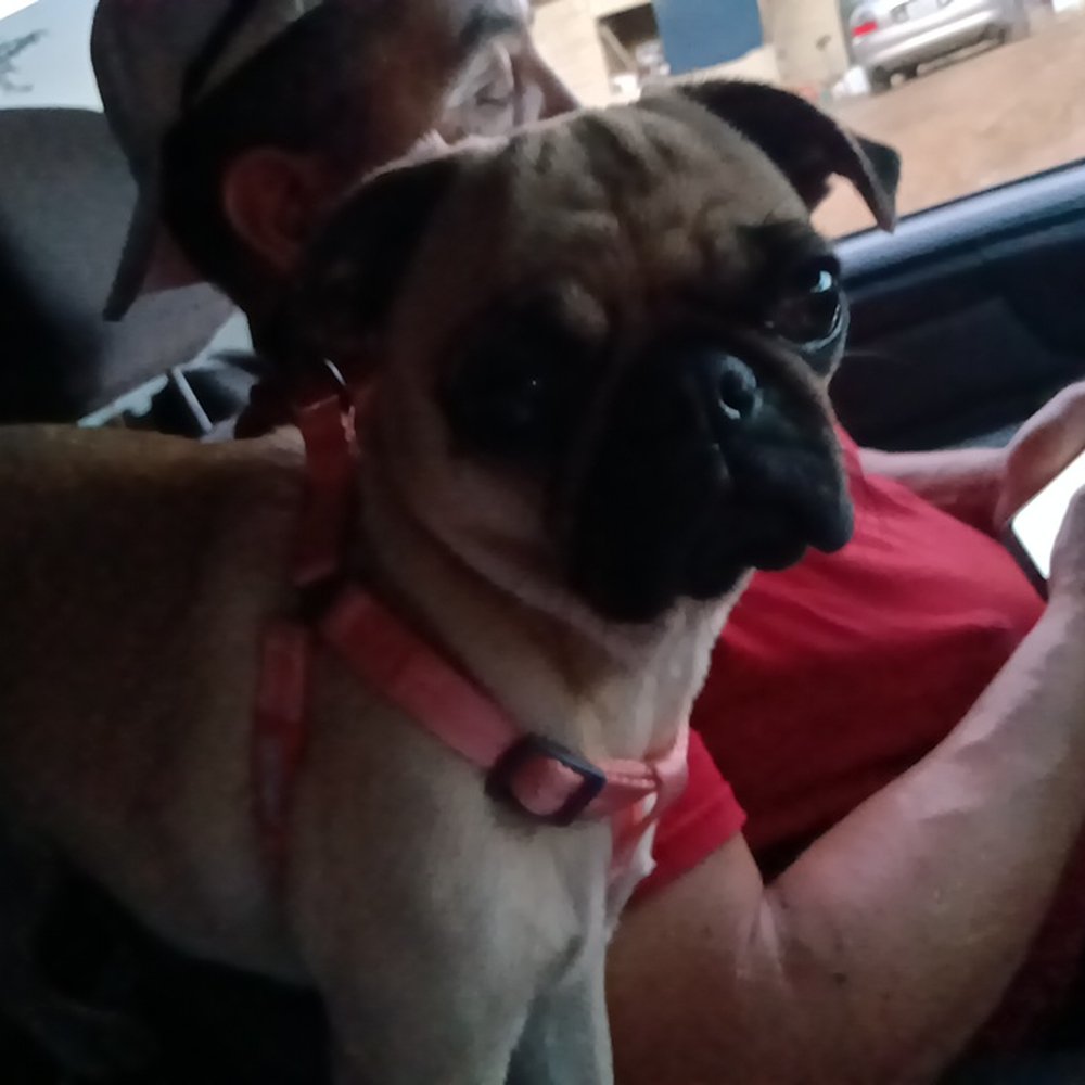 TOP 10 BEST Food Banks in Napa, CA - Updated 2026 - Yelp