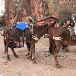 Havasupai Tourist Enterprise