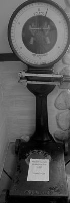 Palermo Bakery by null