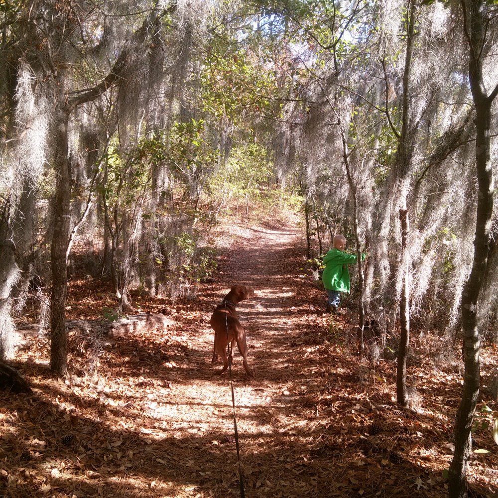 First Landing State Park - The light was amazing. - Parks Near Me - Virginia Beach, Virginia