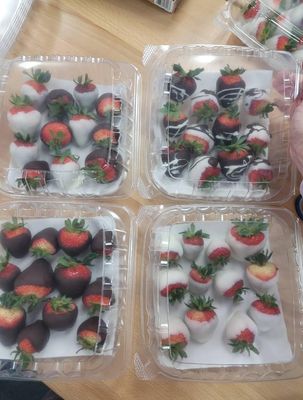 Confectionery Fairy by null