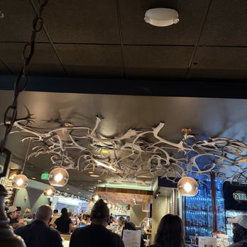 49th State Brewing - Ted Stevens - Ceiling - Brewpubs Near Me - Anchorage, Alaska 49th State Brewing - Ted Stevens - Ceiling - Brewpubs Near Me - Anchorage, Alaska