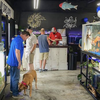 Fish Haven - Local Fish Stores Near Me - Cullman, Alabama Fish Haven - Local Fish Stores Near Me - Cullman, Alabama
