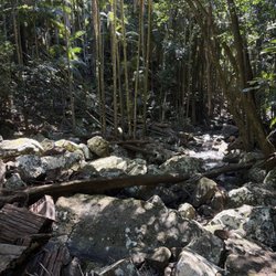 Tamborine Mountain