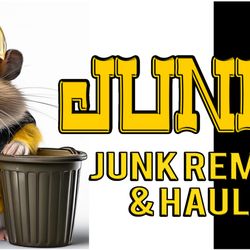 Junk It