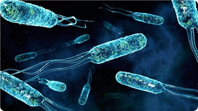 Avert Food Safety Advisors - safety consultant in Las Vegas, NV